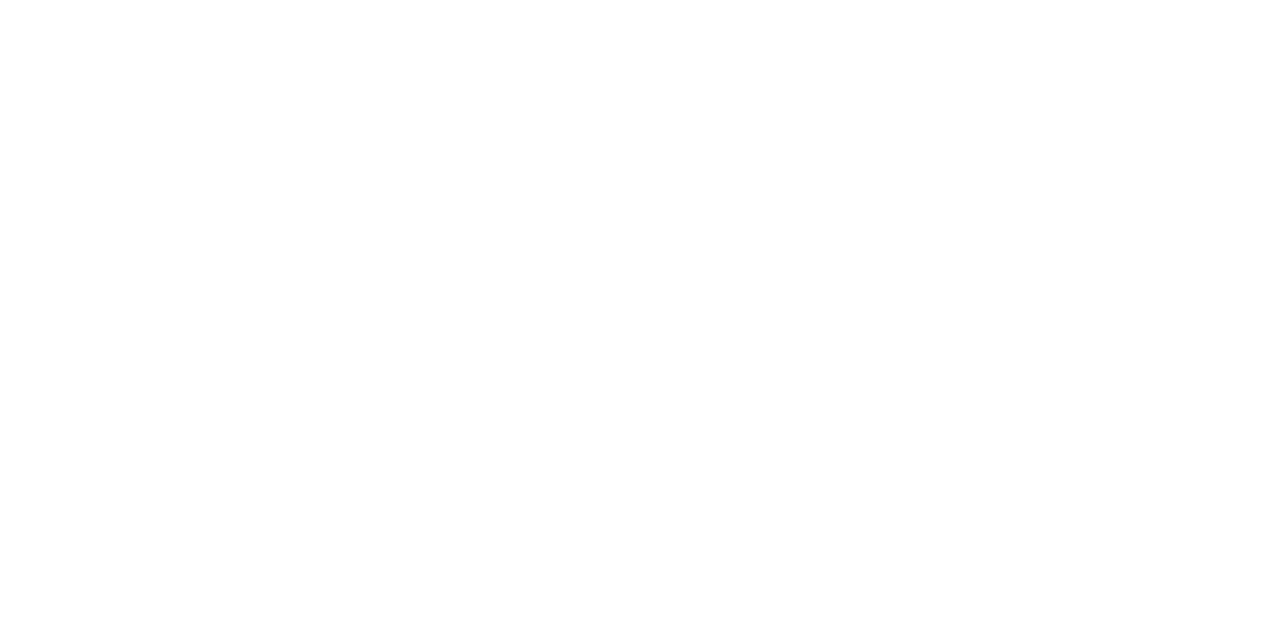 CIMFF Logo